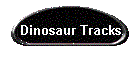 Dinosaur Tracks