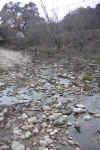 Shoal Creek.JPG (300692 bytes)